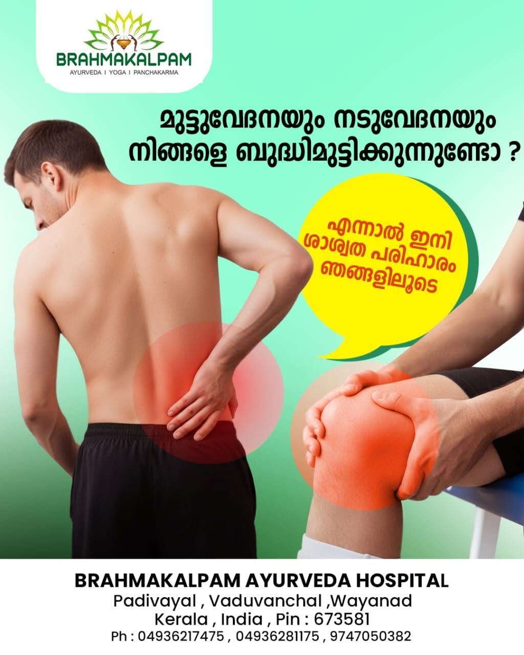 Back and knee pain Ayurveda