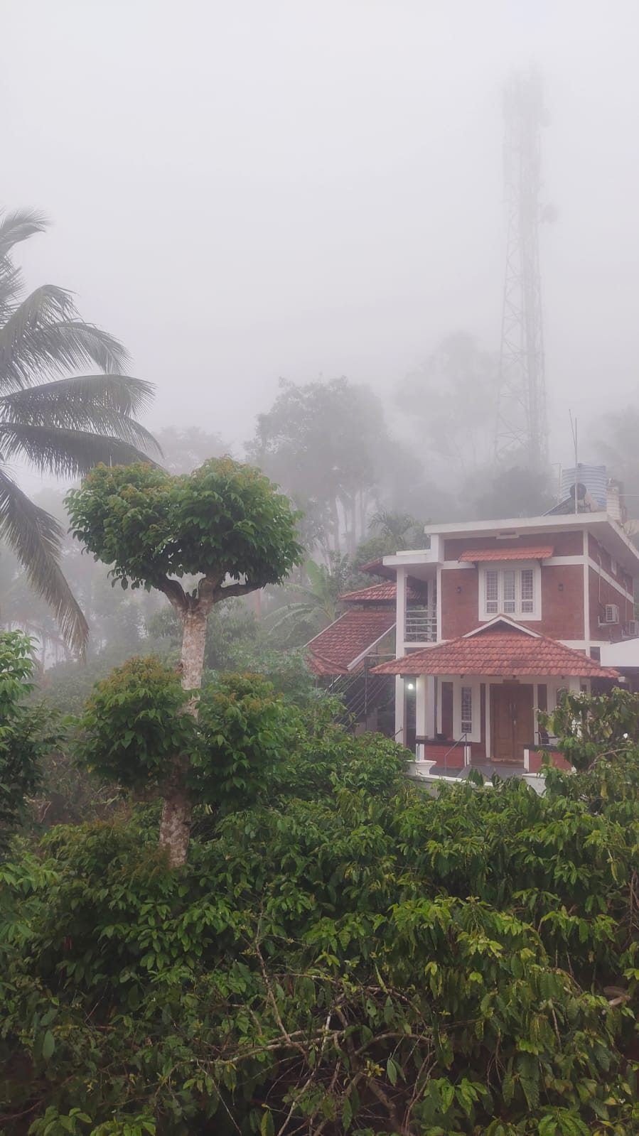 Hospital building on a misty Wayanad morning