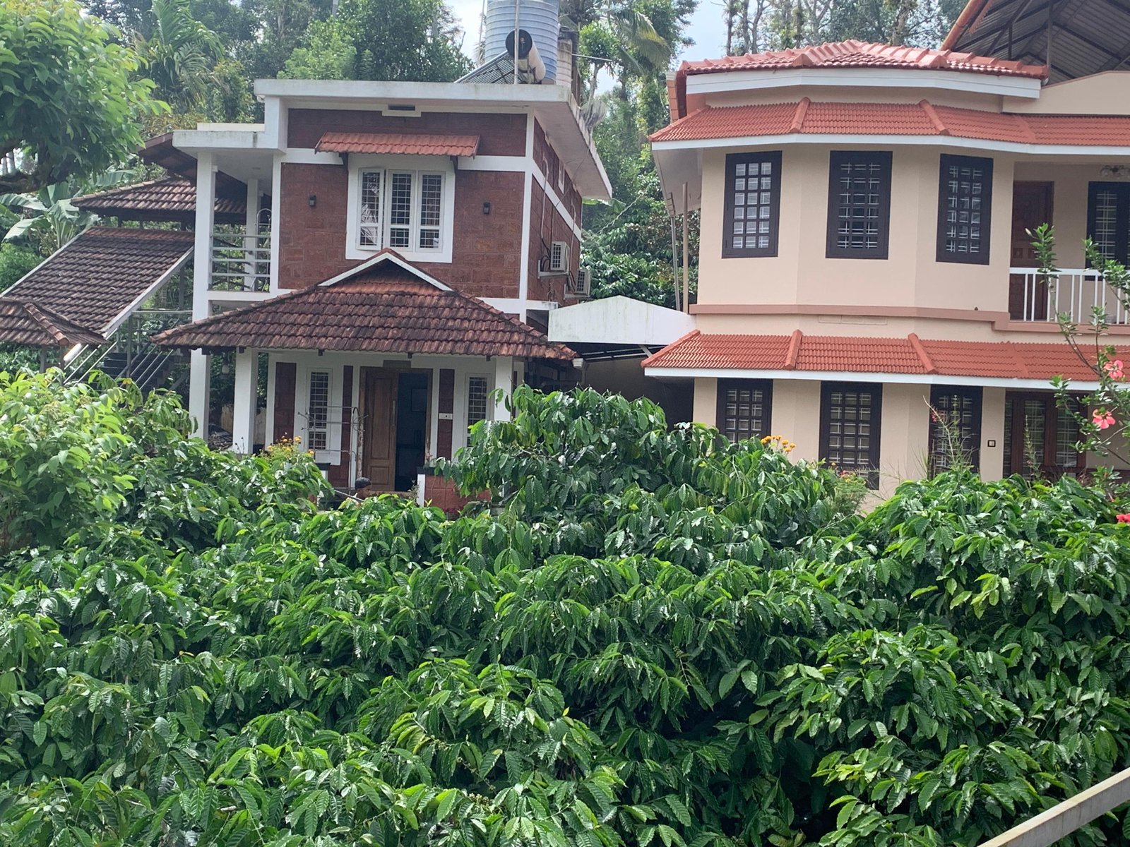 Hospital buildings with herbal garden