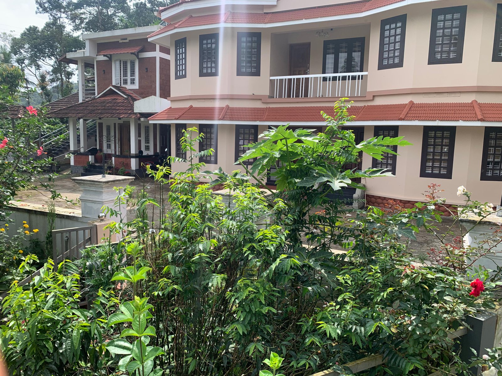 Brahmakalpam centre and green surroundings