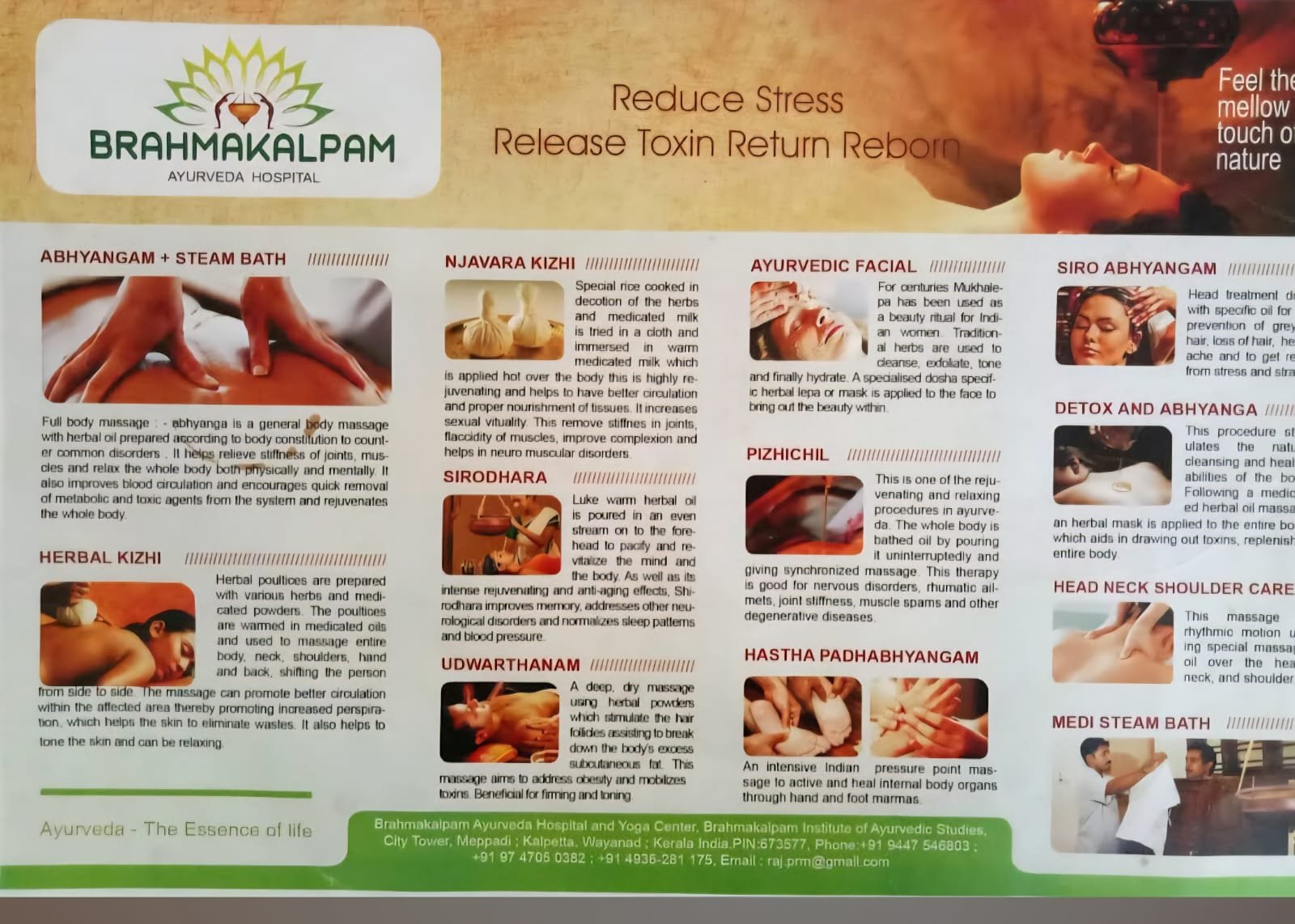 Therapies brochure — Abhyangam, Kizhi, Shirodhara and more